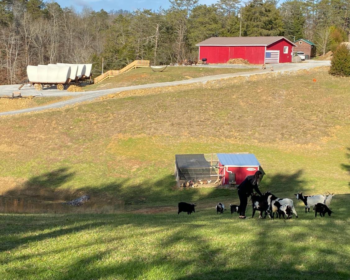 Smoky Hollow Outdoor Resort Covered Wagon Sevierville Bagian luar foto