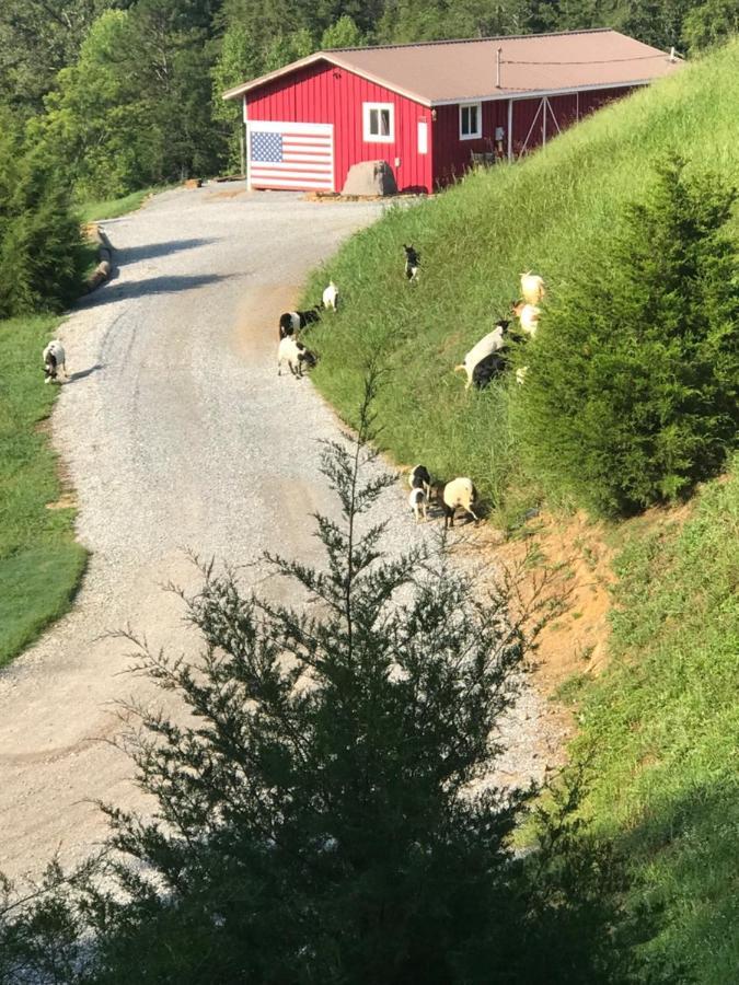 Smoky Hollow Outdoor Resort Covered Wagon Sevierville Bagian luar foto